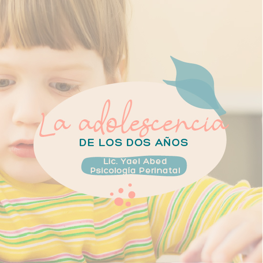 Adolescencia de los dos años /La crisis de los dos años - Límites 