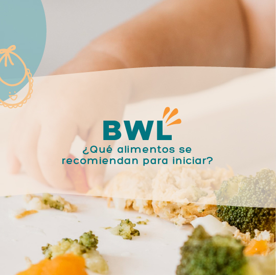  ¿Cuál es el mejor método para que el bebé aprenda a comer? BWL - Alimentos para iniciar
