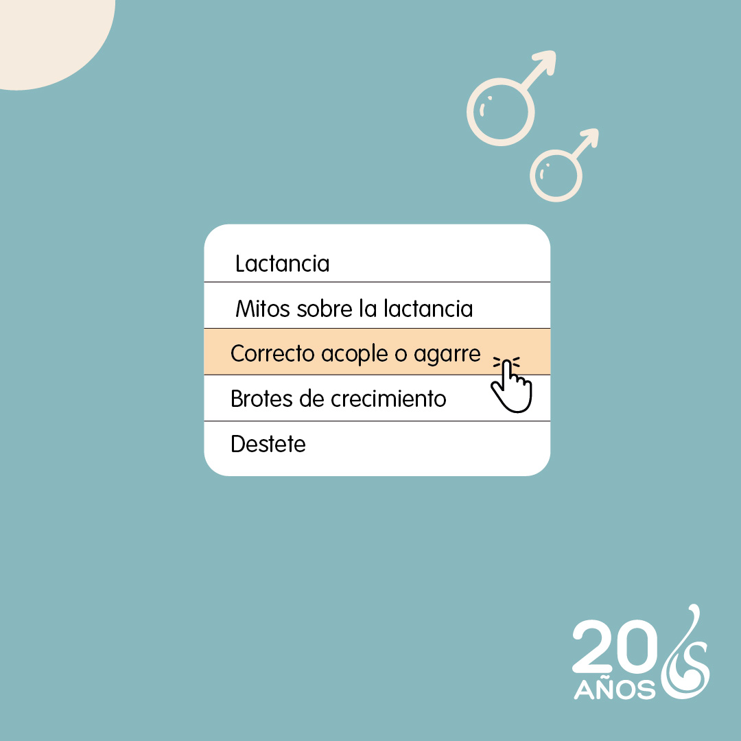 lactancia-nascere-correcto-acople-o-agarre Notas - Nascere - Maternidad y Crianza