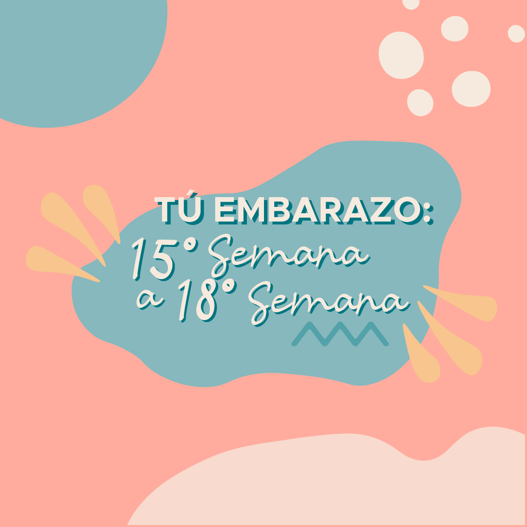 Tu embarazo: 15° Semana a 18° Semana