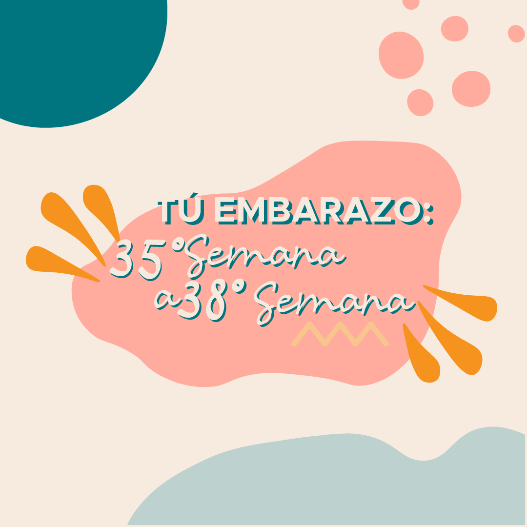 Tu embarazo: 35° Semana a 38° Semana